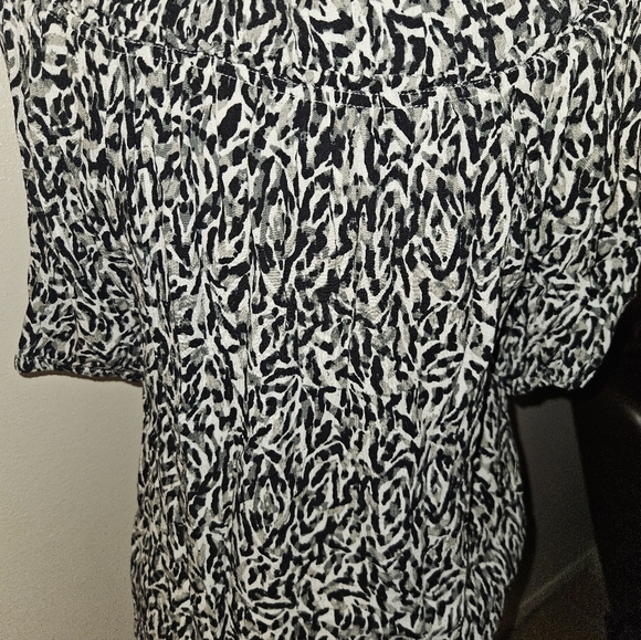 Womans Short Sleeve Button Down Blouse - Picture 7 of 10